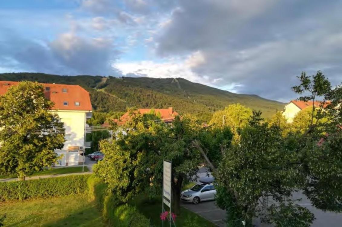 Stara Lipa Tašner Maribor