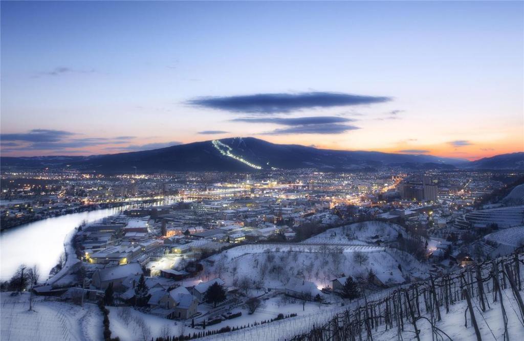 Stara Lipa Tašner Maribor